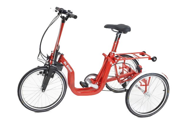 Di Blasi R32 Folding Tricycle (5 speed) – diblasi.store